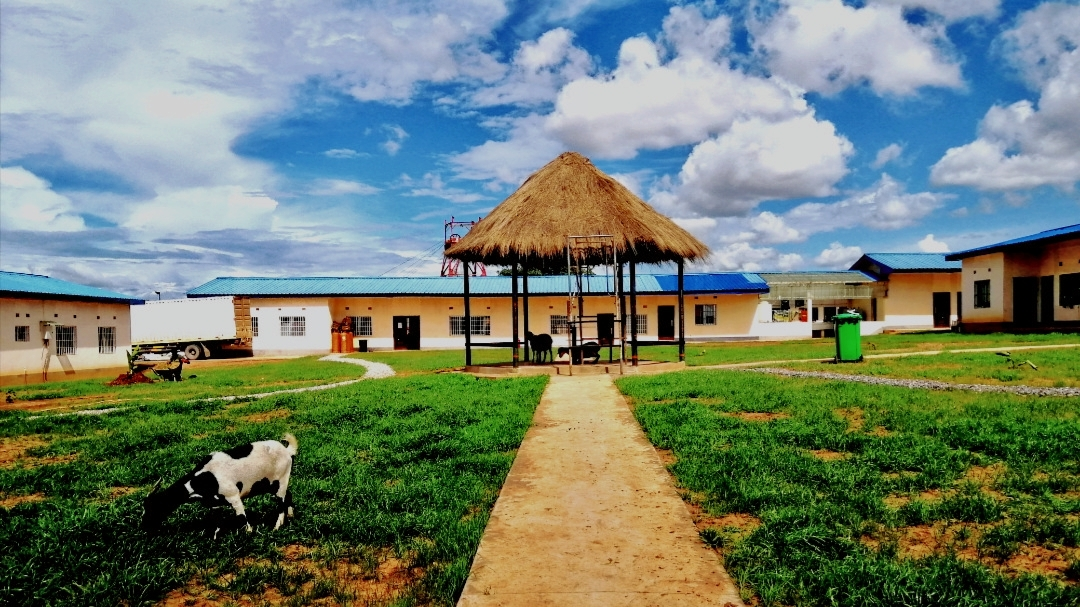 1614927187995352.png 图片3.png