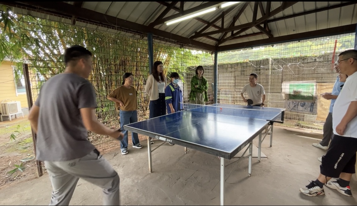 乒乓球比赛.jpg